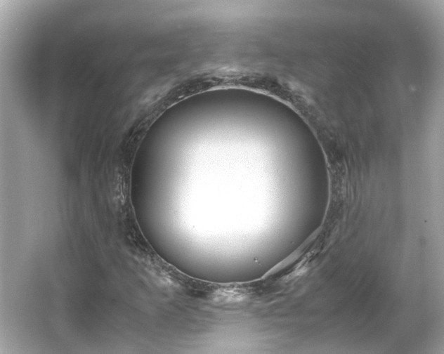 X0000065961253200603101413