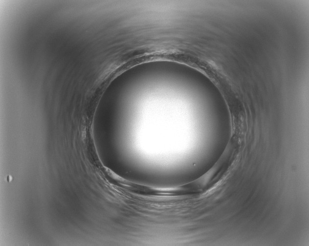 X0000065961257200603101413