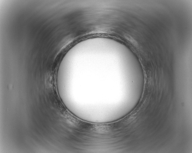 X0000065961258200603101413
