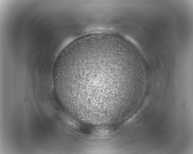 X0000065961267200603101413