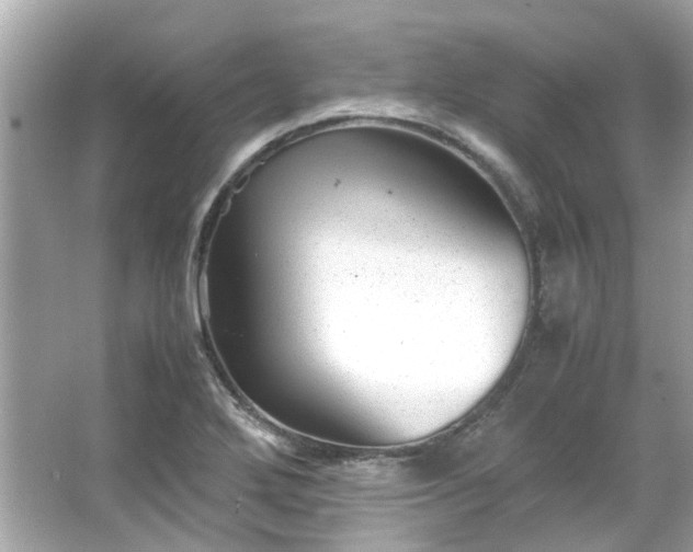 X0000065961272200603101413