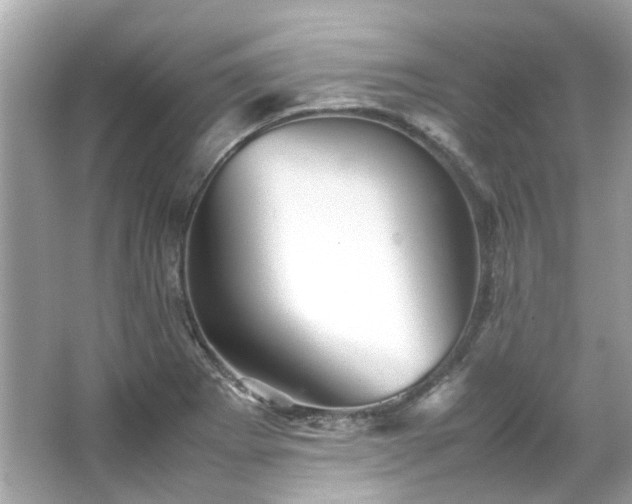 X0000065961273200603101413