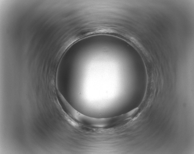 X0000065961281200603101412