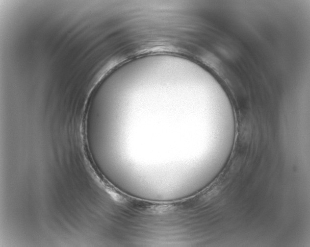 X0000065961282200603101412