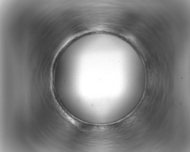 X0000065961286200603101412