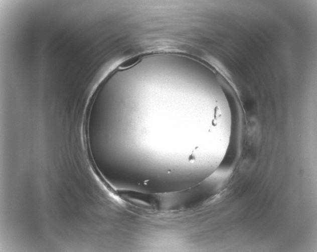 X0000065961293200603101412