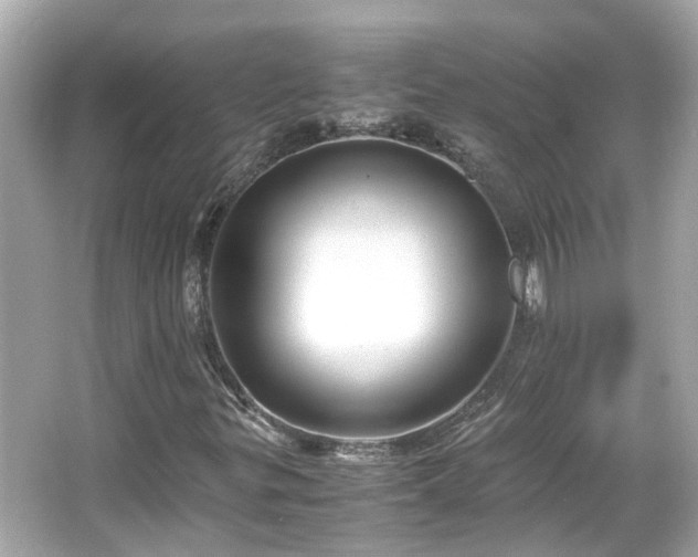 X0000065961299200603101411
