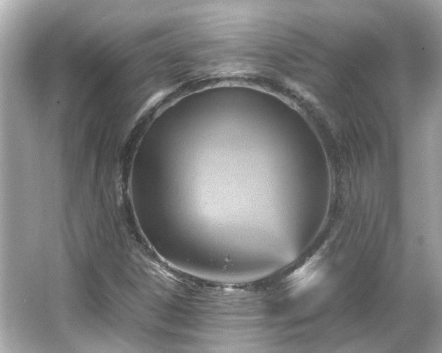 X0000065961306200603101412