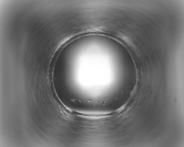 X0000065961308200603101412