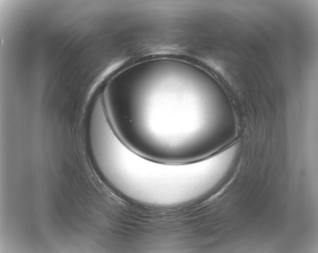 X0000065961317200603101412