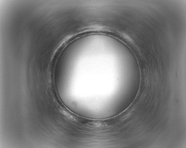 X0000065961318200603101412