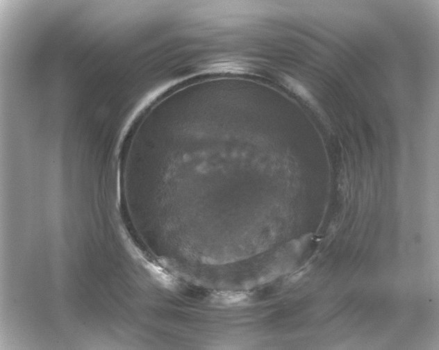 X0000065961323200603101412