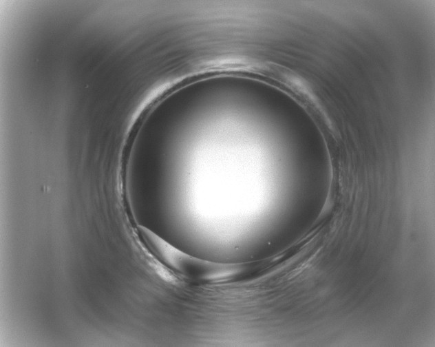 X0000065961328200603101412