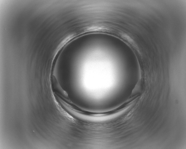 X0000065961330200603101412