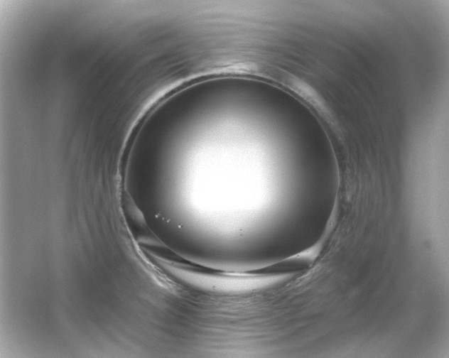 X0000065961332200603101412