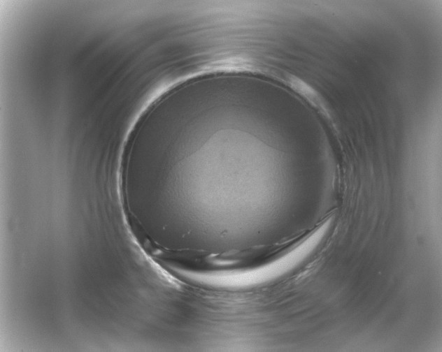 X0000065961334200603101412