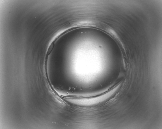 X0000065961336200603101412