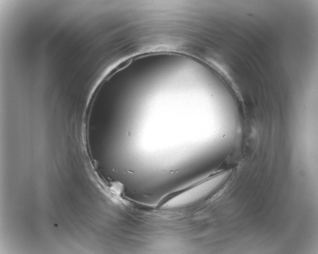 X0000065961340200603101412