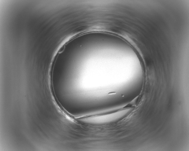 X0000065961341200603101412