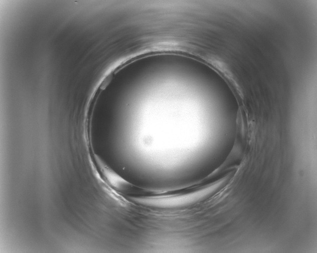 X0000065961342200603101412