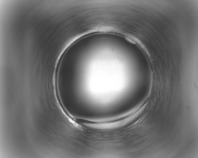 X0000065961343200603101412