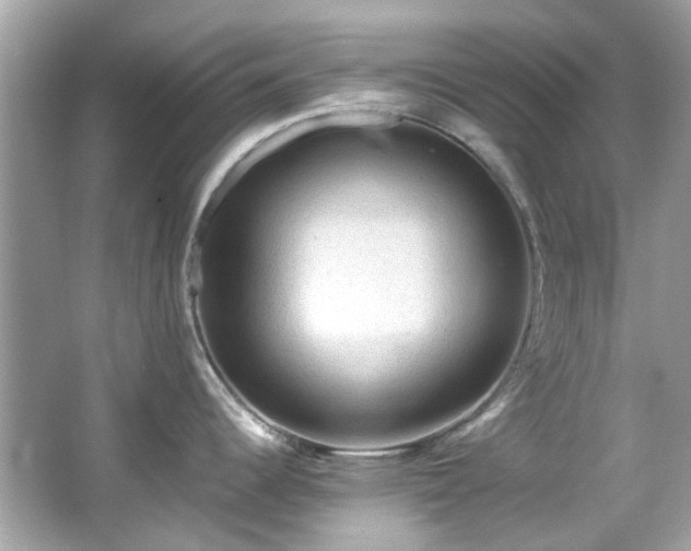 X0000065961344200603101412