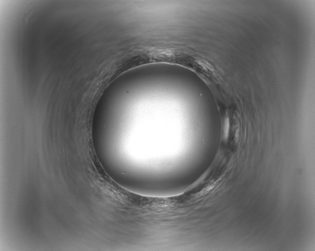 X0000065961345200603101411