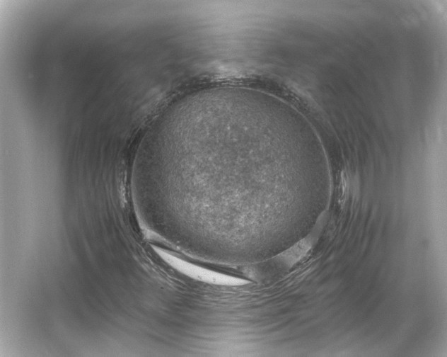 X0000065961348200603101411