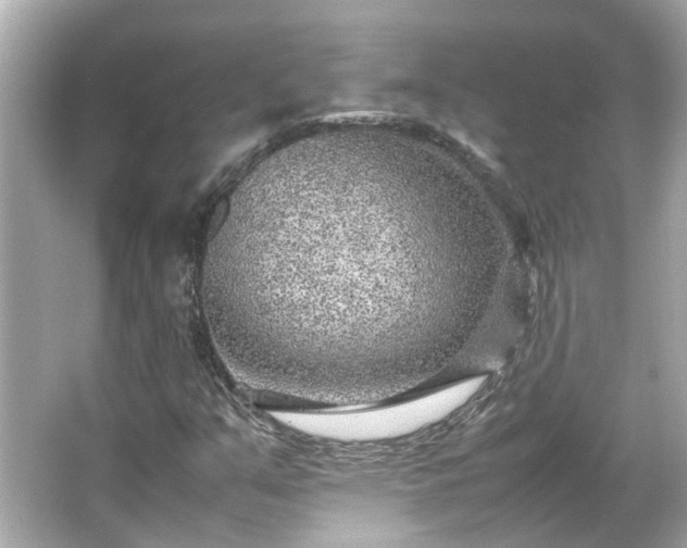 X0000065961351200603101411