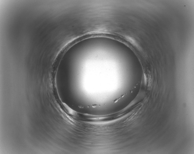X0000065961356200603101411