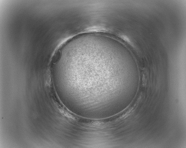 X0000065961358200603101411