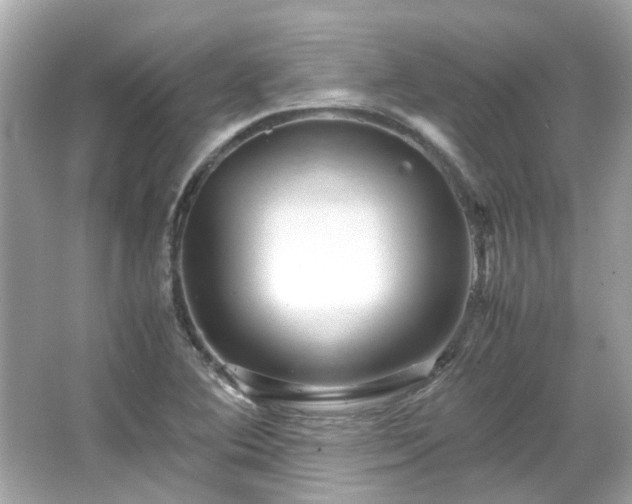 X0000065961364200603101411