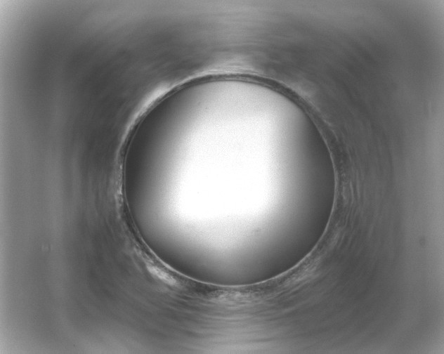 X0000065961366200603101411