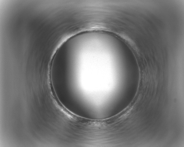 X0000065961374200603101411