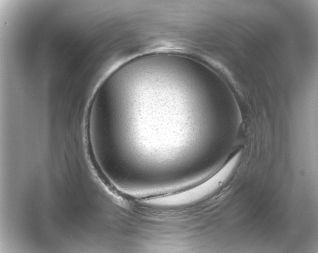 X0000065961375200603101411