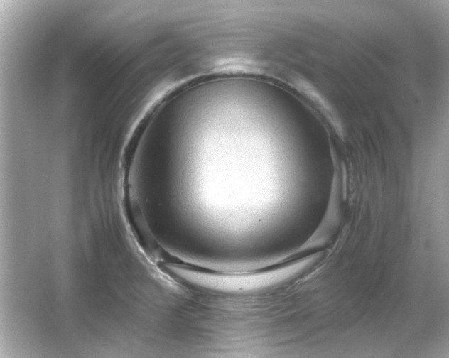 X0000065961376200603101411