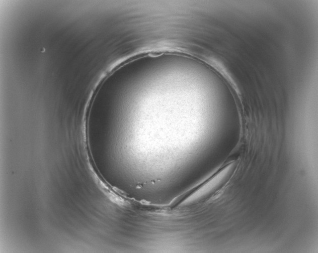 X0000065961388200603101411