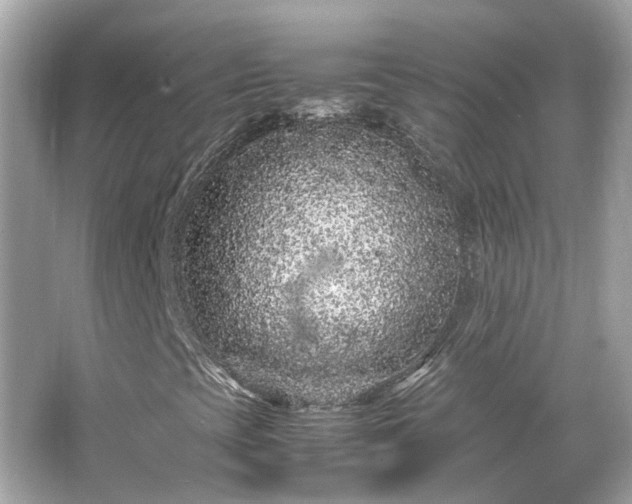 X0000065961393200603101410