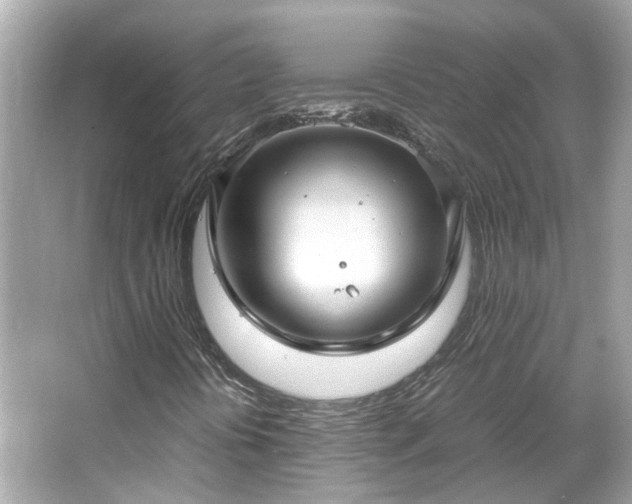 X0000065961394200603101410