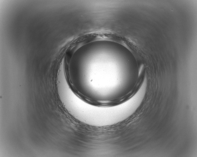 X0000065961398200603101410