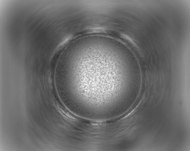 X0000065961403200603101410