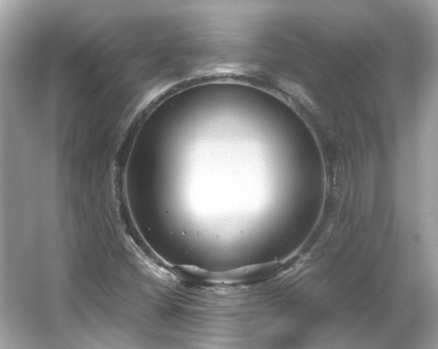 X0000065961404200603101410
