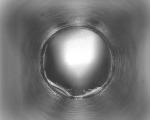 X0000065961410200603101410