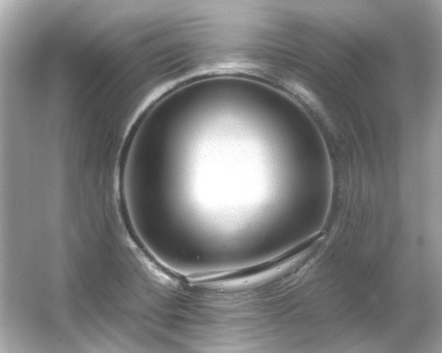 X0000065961420200603101410