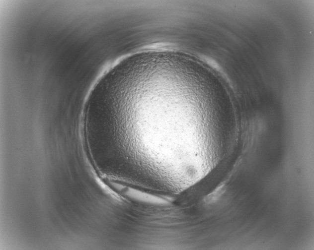 X0000065961421200603101410