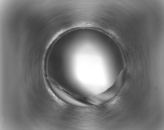 X0000065961422200603101410