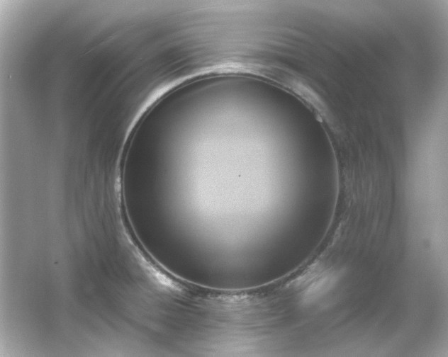 X0000065961428200603101410