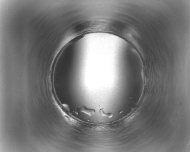 X0000065961434200603101410