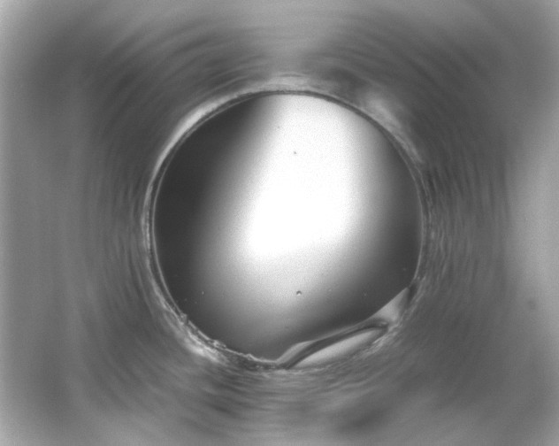 X0000065961436200603101410