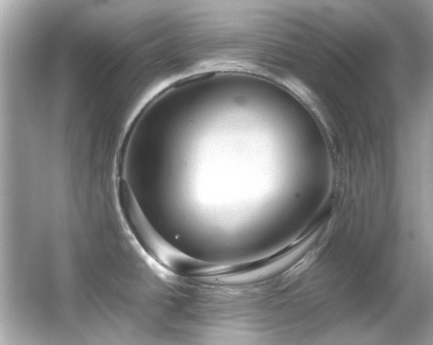 X0000065961438200603101411